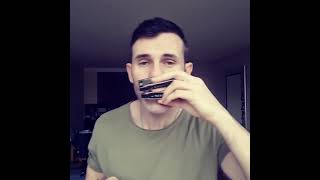 4 Harmonica Beatbox Jamming [upl. by Carolle640]