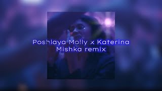 Poshlaya Molly x KaterinaMishka REMIXREVERSED [upl. by Sullivan]