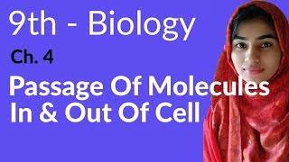 9th Class Biology  Ch 4  Passage of Molecules amp Out of Cell  Matric Part 1 Biology [upl. by Aeila]