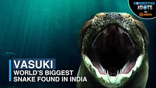 From Myth to Reality World’s Biggest Snake ‘Vasuki’ Discovered in India  Connecting The Dots [upl. by Hgielsa]