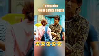 Tiger pandey comedy funny comedy comedyshorts [upl. by Astera]