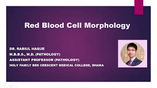 Red Blood Cell Morphology [upl. by Fihsak]