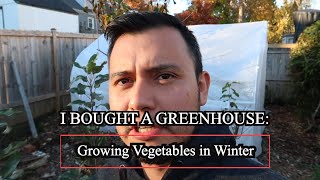 Growing Vegetbales inside a Green House Zone 7a Cheap green house [upl. by Cindra]