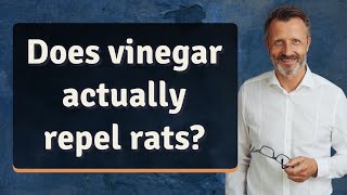 Does vinegar actually repel rats [upl. by Tann]