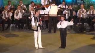 ALIN GABRIEL  MATEI SI ION PALADI ORCHESTRA  DOINA ARGESULUI PITESTI [upl. by Rogerson759]