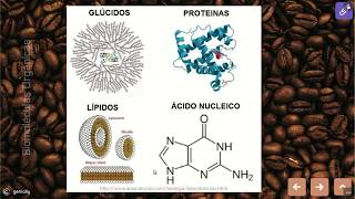 Carbohidratos y Lípidos [upl. by Toft]