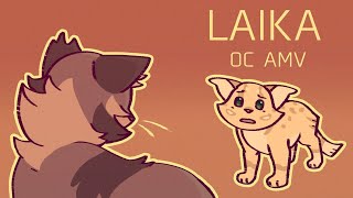 Laika  oc amv [upl. by Notsgnal552]