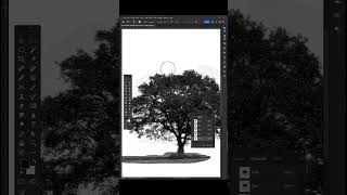 Cut Tree Photoshop Like a PRO in 2024 What Youre Doing Wrong [upl. by Yert]