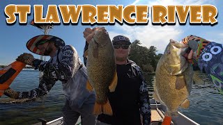 St Lawrence river bass fishing is out of this world smallmouthbassfishing travelvlog [upl. by Goodson]