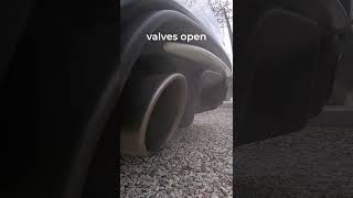 Abarth 695 Esseesse  Akrapovic exhaust startup sound amp revs shorts [upl. by Sirraj]