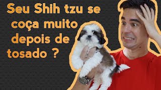 SEU CACHORRO SE COÇA MUITO [upl. by Lloyd839]