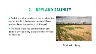 Soil Salinity  Causes Of Salinity  Soil Chemical Properties [upl. by Niliac376]