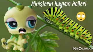 MİNİŞLERİN HAYVAN HALLERİ 2 [upl. by Engapmahc]