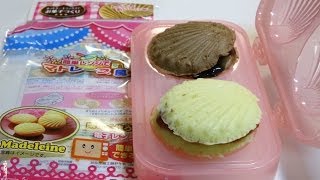 Easy Madeleine Recipe with 100yen Shop Mold [upl. by Mcgurn607]