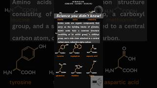 Amino Acids simplified [upl. by Marko363]