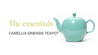 Camellia Sinensis Teapot  Perfection [upl. by Nemra]