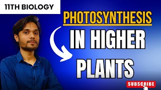 NonCyclic Photophosphorylation in Photosynthesis  Class 11 Chapter 11 biologyclass11th [upl. by Nonohcle488]