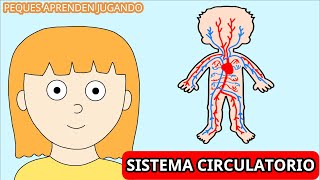 El sistema circulatorio para niños Video de Peques Aprenden Jugando [upl. by Warrick]