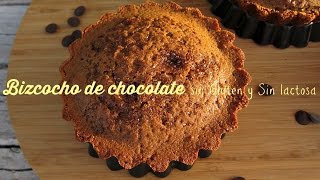 Bizcocho De Chocolate Sin Gluten Sinlactosa [upl. by Aven]