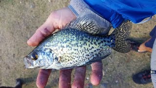 CRAPPIE FISHING NEW MEXICO IMPROVED [upl. by Yettie]