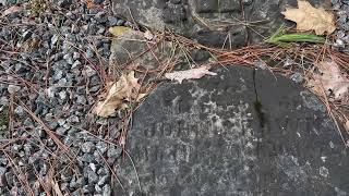 Midhurst pioneer cemetery [upl. by Sile118]