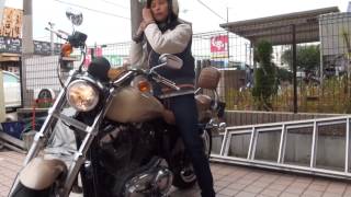 素敵な美人ライダー ハーレーダビッドソンスポーツスター XL883 Harley Davidson Sport star XL883 パパサン [upl. by Ainehs544]