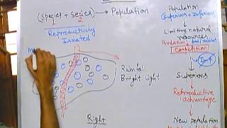 Evolution part 5 speciation 1 mechanism of speciation allopatric speciation [upl. by Lehcem]