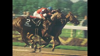 AFFIRMED Belmont Stakes G1 1978 [upl. by Loyce]