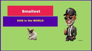 SHORTEST DOG IN THE WORLD [upl. by Fabron]