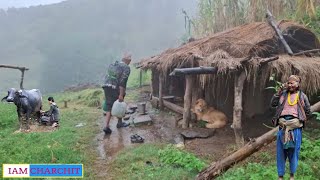 Himalayan Pastoral people living life into the Rainfall Beautiful Nepali Village During the Rainy [upl. by Shaughnessy]