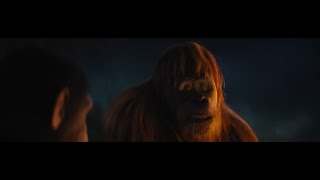 La Planète des Singes Le Nouveau Royaume Film Complet en Français HD [upl. by Lanza]