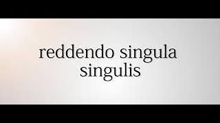 Interpretation of statutes  Reddendo singula singulis  7 May 2021  MLSU [upl. by Karilla]