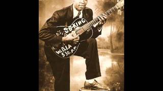 BB KIng  Ten Long Years [upl. by Salinas525]