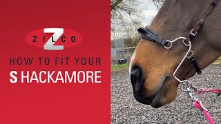 How to correctly fit your Zilco quotSquot Hackamore [upl. by Cos]