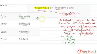 Nephridia of Pheretima are [upl. by Shepherd599]