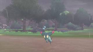 How To Catch Dreepy in Pokemon Sword and Shield [upl. by Dickman518]