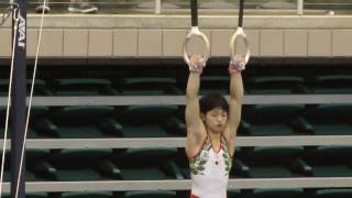 Teppei Miwa 三輪鉄平  Rings  2017 RD761 Event Finals [upl. by Alroi]