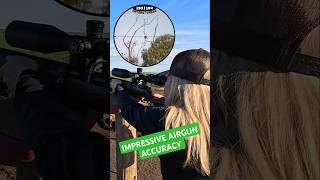 IMPRESSIVE AIRGUN ACCURACY  FX DRS  Best Airguns in the world  FX Airguns fxairguns shorts [upl. by Cyndie]