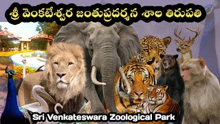 Tirupati zoo park [upl. by Revell]