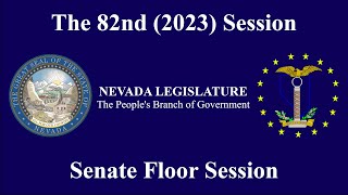 522023  Senate Floor Session Pt 1 [upl. by Nosinned]