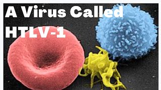 HUMAN TLYMPHOTROPIC VIRUS  HTLV1  ADULT TCELL LEUKEMIA  LYMPHOMA  Adwoa Biotech [upl. by Tingey]