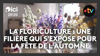 La floriculture  une filière qui sexpose pour la fête de lautomne [upl. by Nobile]