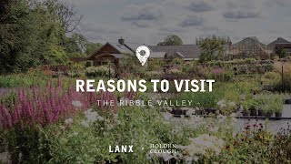 Reasons To Visit Ribble Valley  Holden Clough Nurseries [upl. by Noyk]