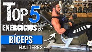 TOP 5  Exercícios para BICEPS COM HALTERES [upl. by Acirretal]