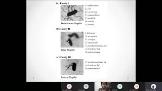 Lecture 14 Bacterial motility 20220302 075856 Meeting Recording [upl. by Dub656]