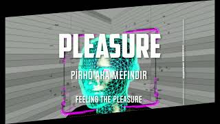 Pleasure Techno [upl. by Henden6]