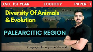 Palearctic zoogeographical region  Zoogeographical regions of the world  BSc 1st Year [upl. by Parcel]