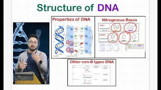 DNA Structure in detail and its types ARS Agri Biotechnology CSIRJRF ICARJRFSRF [upl. by Acimad]