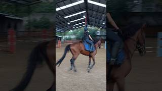 Persiapan Equinara Event horse equestrian [upl. by Streeter]