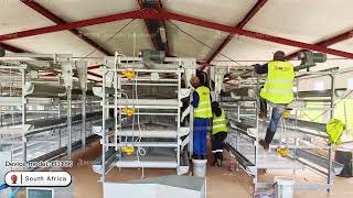 H Type Layer Chicken Cage Installation  Customer Projects in South Africa  RETECH Farming [upl. by Essinger]